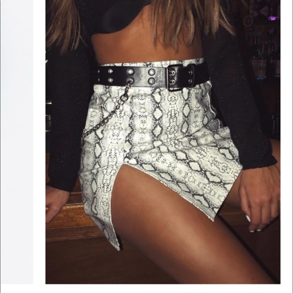 Princess Polly Dresses & Skirts - Vinyl snake mini skirt